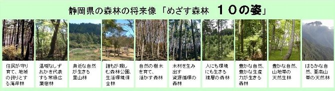 写真:富国有徳の森林づくり 静岡県の森林将来像「めざす森林 10の姿」