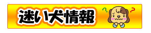 迷い犬情