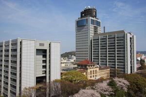 写真：静h亍〗ㄎ