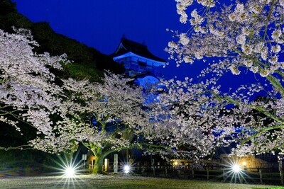 令和6年度静岡県議会だより写真コンクール春の部特選作品