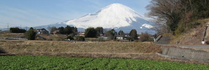 写真:富士山と畑