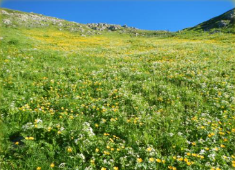 夷2 生物多性への影