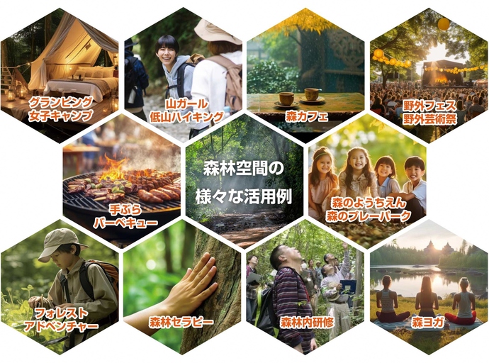 森林サ`ビスbIとは