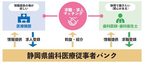 n科医臼抡撺啸螗概要
