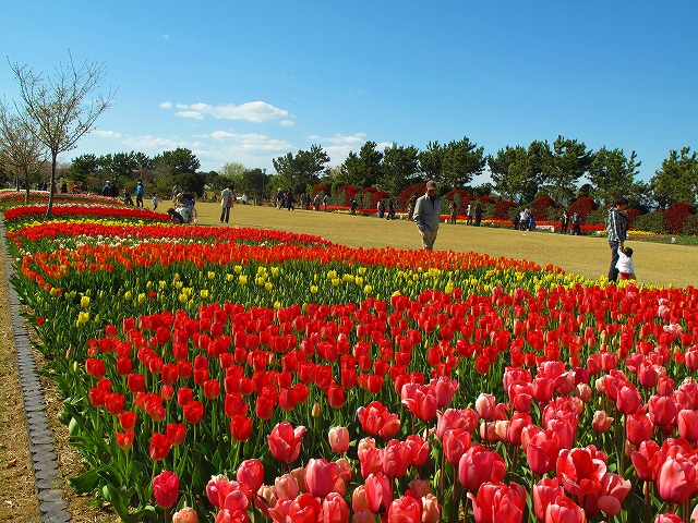 県営吉田公園（吉田町）