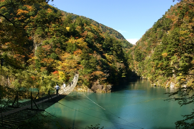 寸又峡の紅葉と「夢の吊橋」（川根本町）