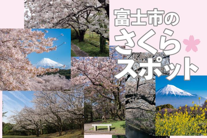 桜スポット2