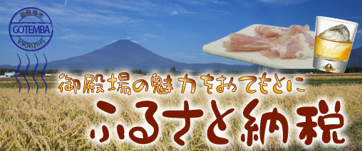ふるさと納税 ふるさと納税