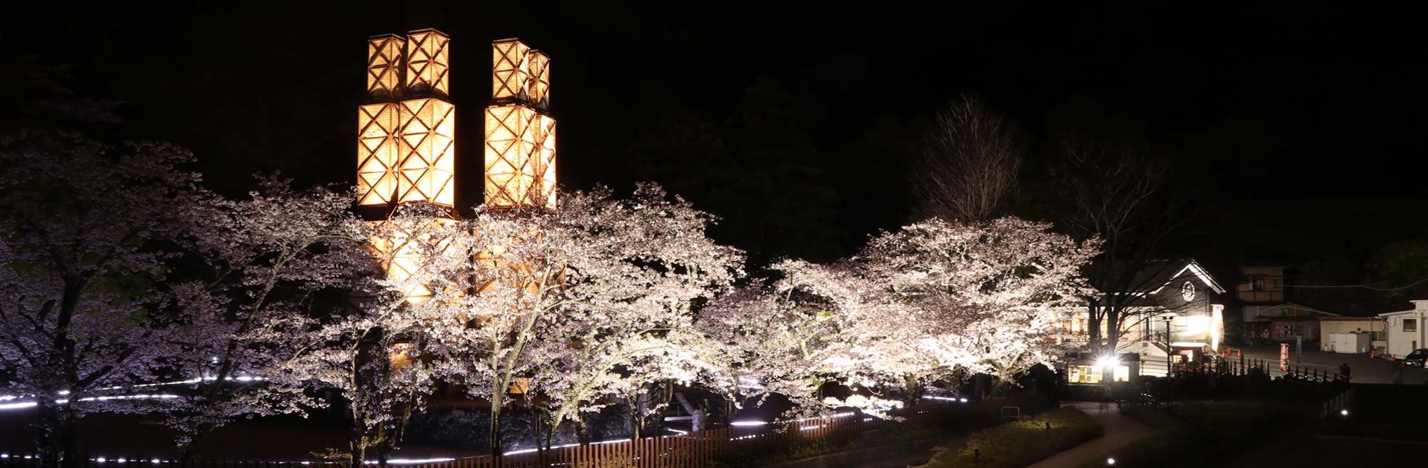 反射炉と桜のライトアップ