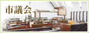 市議会