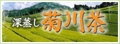 深蒸し 菊川茶
