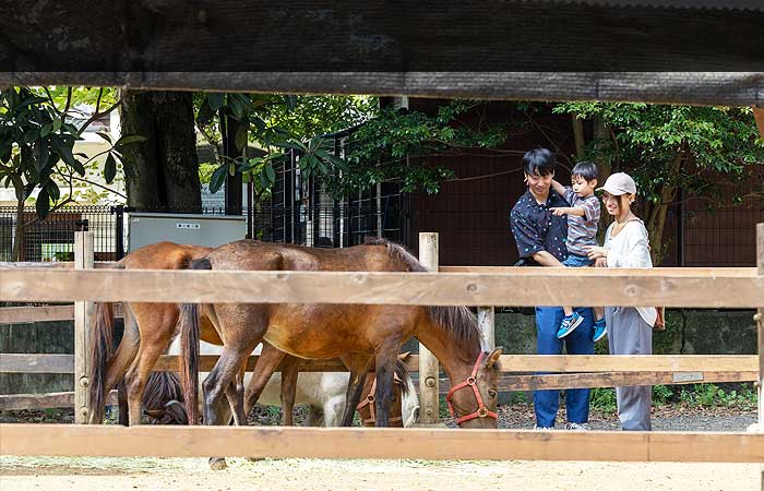 おいでよ! 三島市立公園「楽寿園」の画像