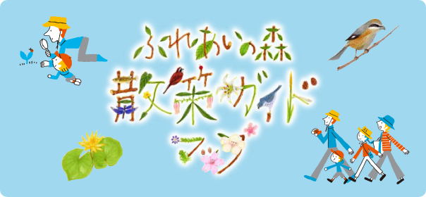 エコパの森 散策ガイド 画像