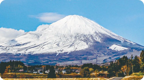 ライブカメラの画像